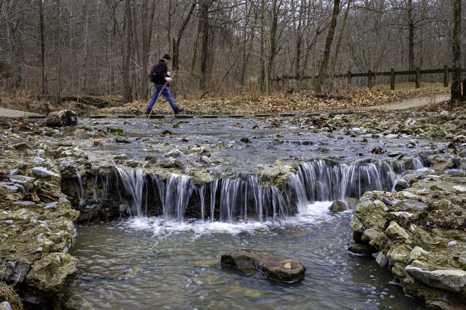 Nature's Bridge (copy)